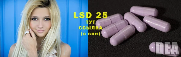 стафф Зеленокумск