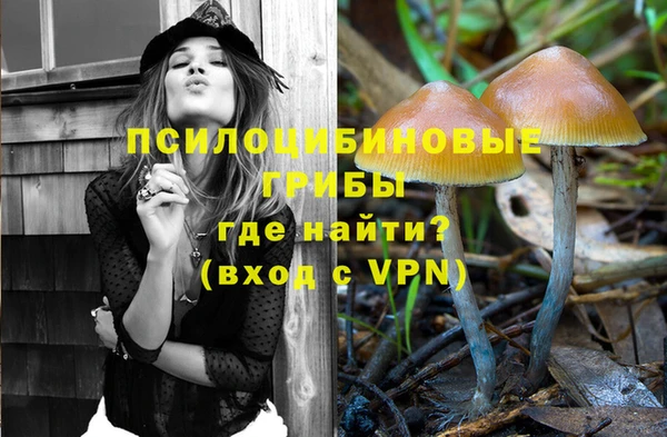 мет Заводоуковск