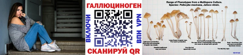 Псилоцибиновые грибы мицелий  наркошоп  Слободской 