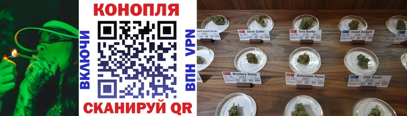 Марихуана план купить закладку Слободской